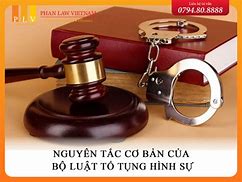 Trình Bày Các Nguyên Tắc Cơ Bản Của Luật Dân Sự