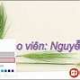 Trình Chiếu Trên Powerpoint